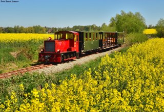 Locomotive in the rape field // &copy; Bernd Lotzow