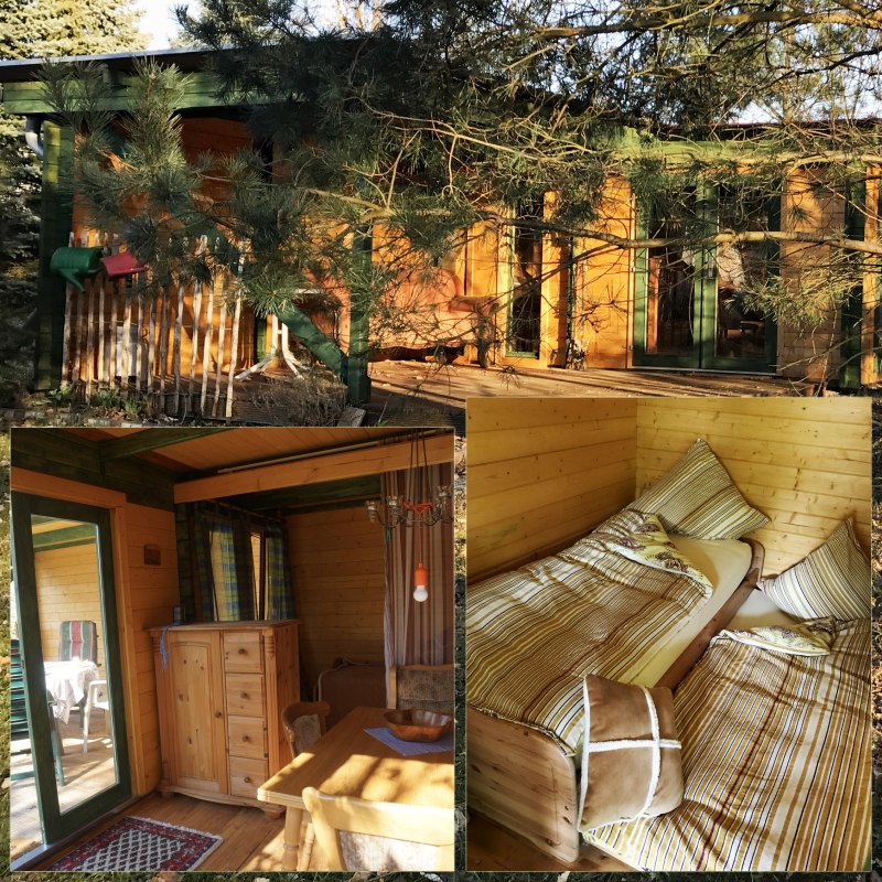 Oom Tom's Hut, gezellig en spannend midden in de natuur // © Carola Borchers Oom Tom's Hut, gezellig en spannend midden in de natuur // © Carola Borchers