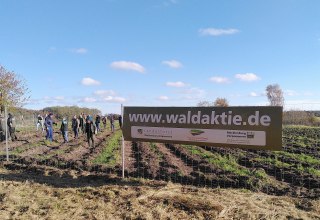 Op Rügen wordt een klimaatbos aangelegd // © Johanna Köhnlein Op Rügen wordt een klimaatbos aangelegd // © Johanna Köhnlein