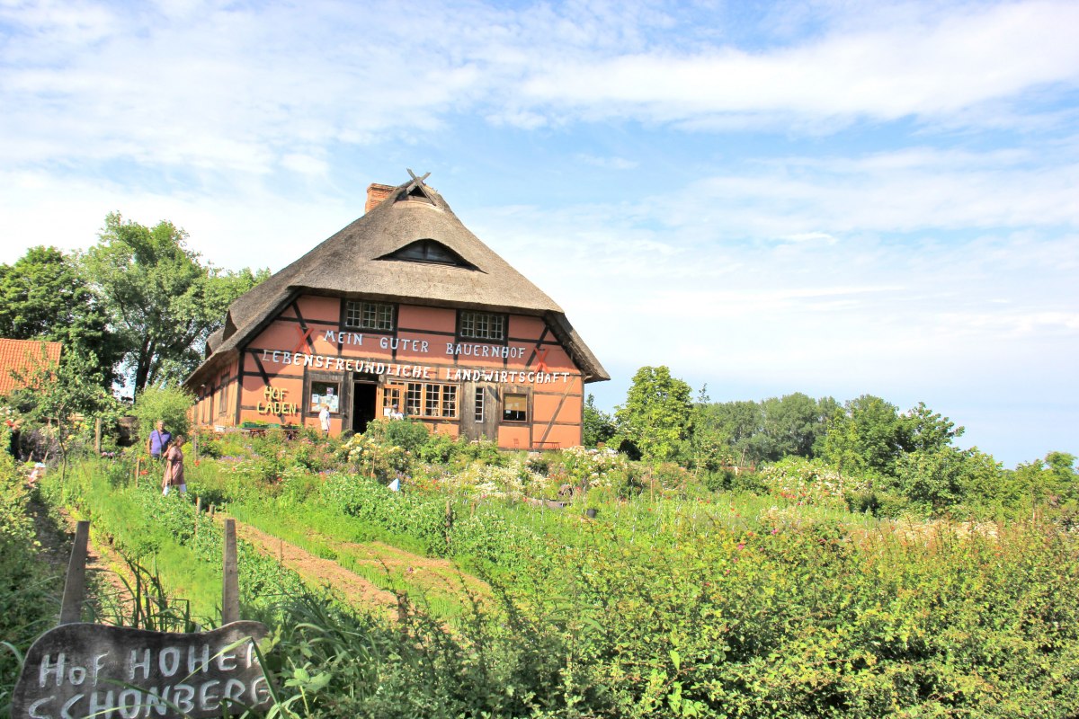 Farma Hoher Schönberg // © Hof Hoher Schönberg Farma Hoher Schönberg // © Hof Hoher Schönberg