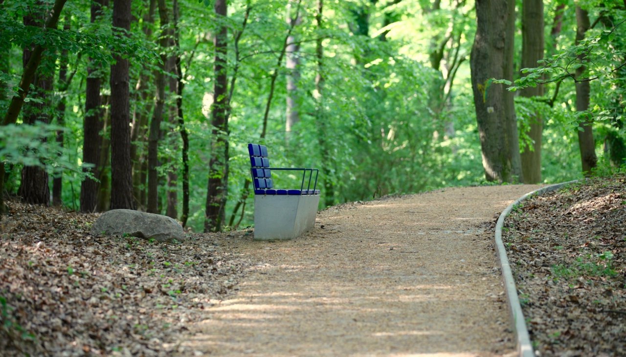 Therapie wandeling