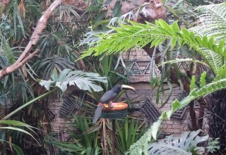 &copy; Zoo Stralsund