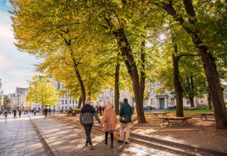 © Markus Tiemann © Markus Tiemann