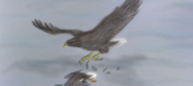 &copy; L-M.K&uuml;hn/M&uuml;ritzeum