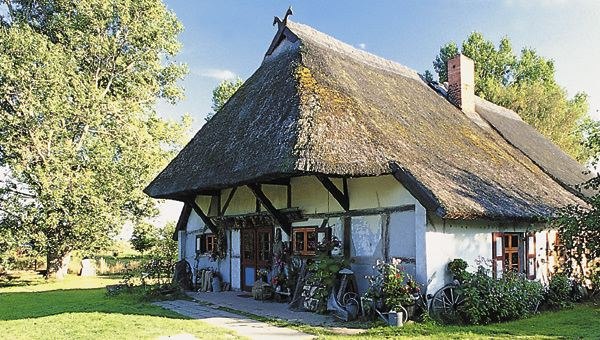 Dornenhaus Ahrenshoop, © Friedemann Löber