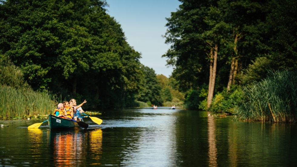 Het is de moeite waard om een kijkje te nemen: zeldzame dier- en plantensoorten kunnen worden waargenomen in het Nationaal Park Müritz. // © MV-T/Roth Het is de moeite waard om een kijkje te nemen: zeldzame dier- en plantensoorten kunnen worden waargenomen in het Nationaal Park Müritz. // © MV-T/Roth