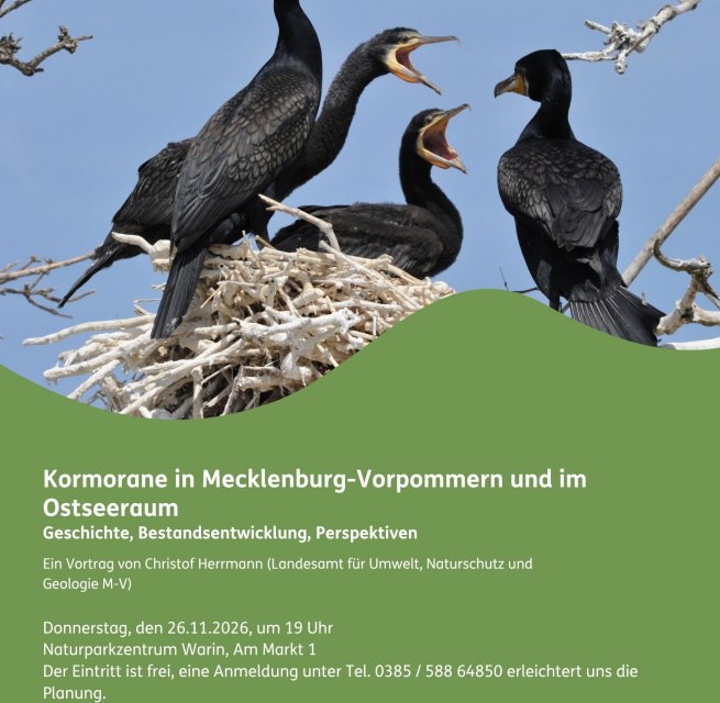 Plakat Kormoranvortrag // © Naturpark Sternberger Seenland Plakat Kormoranvortrag // © Naturpark Sternberger Seenland