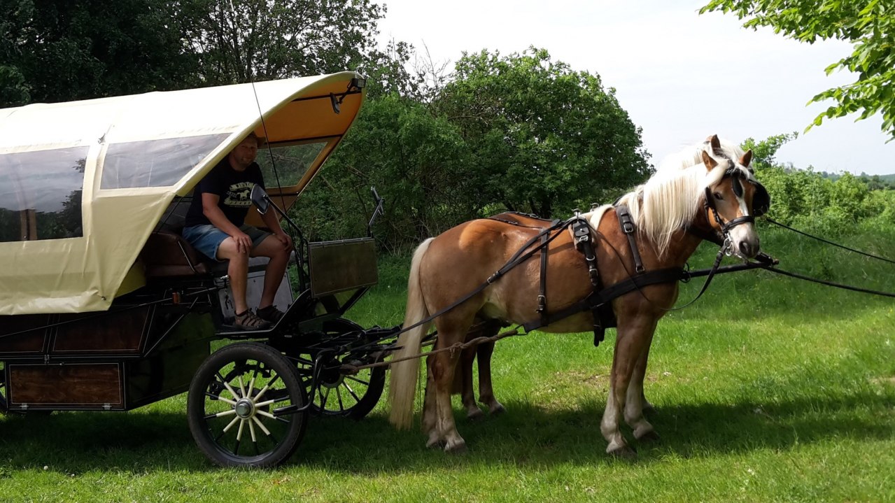 © Katrin Krüger © Katrin Krüger