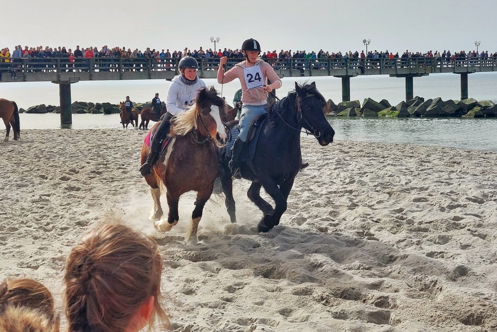 20250419_OstseebadWustrow_Strandgalopprennen_Foto&copy;KevinSchiemann_20240330_140247-02, &copy; Kevin Schiemann / KVW Wustrow