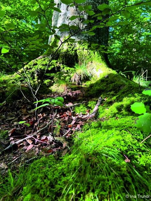 © Mitarbeiter3 © Mitarbeiter3