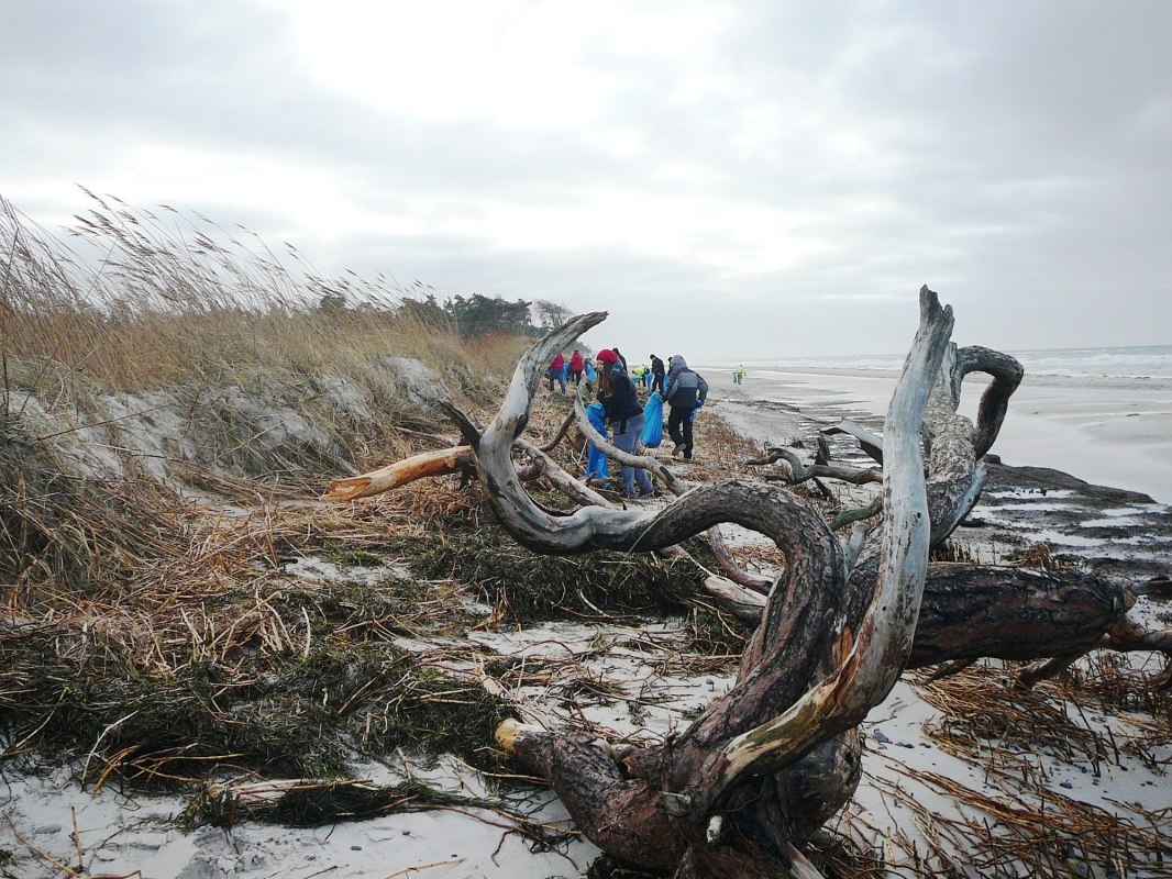 A_Beil_Kuestenputz_Annette_Beil_web, &copy; Nationalparkamt Vorpommern