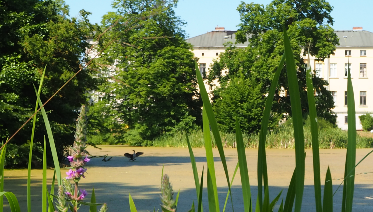 Im Schlosspark Semlow 4(c) Manuela Steimle, © Tourismusverein VR/Manuela Steimle Im Schlosspark Semlow 4(c) Manuela Steimle, © Tourismusverein VR/Manuela Steimle