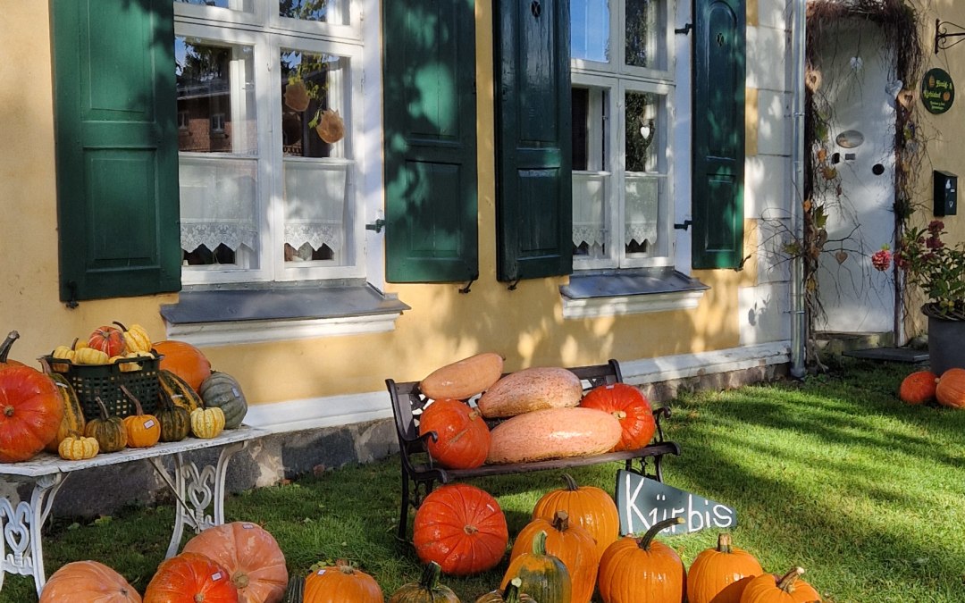 Farma miodu i dyni Gutshaus Behrenshagen, © B. Siebenbürgen