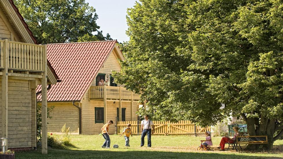 Przegląd Drobny inwentarz, © Vision Foto