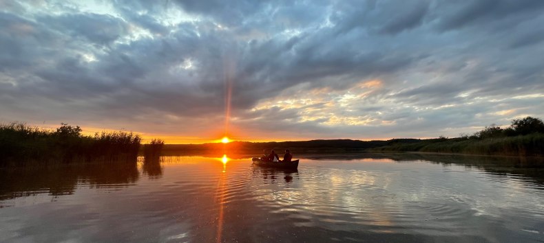 In der Zeit um Mittsommer herum wird es im Naturpark Mecklenburgische Schweiz und Kummerower See nicht mehr richtig dunkel. Die Sonne geht zwar bereits um 19:47 Uhr unter, aber die Abenddämmerung geht bis weit über Mitternacht hinaus, bevor kurz nach 4 Uhr die Morgendämmerung einsetzt. Der Mond steht zu dieser Zeit voll am Himmel, als zunehmender Halbmond.
Zu dieser Zeit zwischen den Zeiten lädt der Naturpark zu einer Paddeltour auf der Peene und den Torfstichen bei Malchin ein. Die Landschaft und die wunderbare Wasserwelt sind dann in ein mystisches Zwielicht getaucht. Die Geräusche des Tages sind verstummt und die Tiere der Nacht lassen sich hören. Mit etwas Glück sind sogar Biber zu beobachten, die jetzt zum Vorschein kommen. Ein Naturpark-Ranger vermittelt Ihnen unterwegs viel Interessantes über Biber und Fischotter, die Vogelwelt am Wasser, zur Fluss- und Moorlandschaft der Peene und über den Naturpark.
Treffpunkt ist in Malchin am Kanu-Club „Kösters Eck“ (Am Kanal 2, 17139 Malchin). Die Bekleidung sollte dem Wetter angepasst sein.
Da die Teilnehmeranzahl begrenzt ist, bitten wir, sich im Naturpark unter der Telefonnummer 0385 588 64 830 anzumelden. Bitte geben Sie dazu auch an, ob Sie als Familie kommen. Das hilft uns bei der Planung der Bootsbelegung.
Für die Benutzung der Boote ist ein Unkostenbeitrag von 15 Euro pro Teilnehmer zu entrichten. // © Gudrun Marin-Ziegler In der Zeit um Mittsommer herum wird es im Naturpark Mecklenburgische Schweiz und Kummerower See nicht mehr richtig dunkel. Die Sonne geht zwar bereits um 19:47 Uhr unter, aber die Abenddämmerung geht bis weit über Mitternacht hinaus, bevor kurz nach 4 Uhr die Morgendämmerung einsetzt. Der Mond steht zu dieser Zeit voll am Himmel, als zunehmender Halbmond.
Zu dieser Zeit zwischen den Zeiten lädt der Naturpark zu einer Paddeltour auf der Peene und den Torfstichen bei Malchin ein. Die Landschaft und die wunderbare Wasserwelt sind dann in ein mystisches Zwielicht getaucht. Die Geräusche des Tages sind verstummt und die Tiere der Nacht lassen sich hören. Mit etwas Glück sind sogar Biber zu beobachten, die jetzt zum Vorschein kommen. Ein Naturpark-Ranger vermittelt Ihnen unterwegs viel Interessantes über Biber und Fischotter, die Vogelwelt am Wasser, zur Fluss- und Moorlandschaft der Peene und über den Naturpark.
Treffpunkt ist in Malchin am Kanu-Club „Kösters Eck“ (Am Kanal 2, 17139 Malchin). Die Bekleidung sollte dem Wetter angepasst sein.
Da die Teilnehmeranzahl begrenzt ist, bitten wir, sich im Naturpark unter der Telefonnummer 0385 588 64 830 anzumelden. Bitte geben Sie dazu auch an, ob Sie als Familie kommen. Das hilft uns bei der Planung der Bootsbelegung.
Für die Benutzung der Boote ist ein Unkostenbeitrag von 15 Euro pro Teilnehmer zu entrichten. // © Gudrun Marin-Ziegler