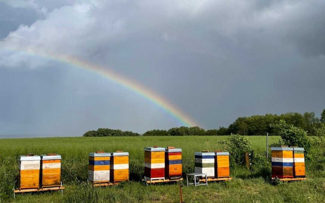 Atmosfera burzy nad rzeką Peene, © Peter Wittenberg