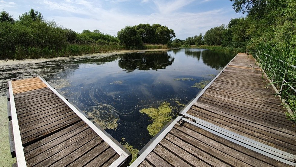 Jetty water hiking rest area Burow, © TV Mecklenburg-Schwerin e.V.
