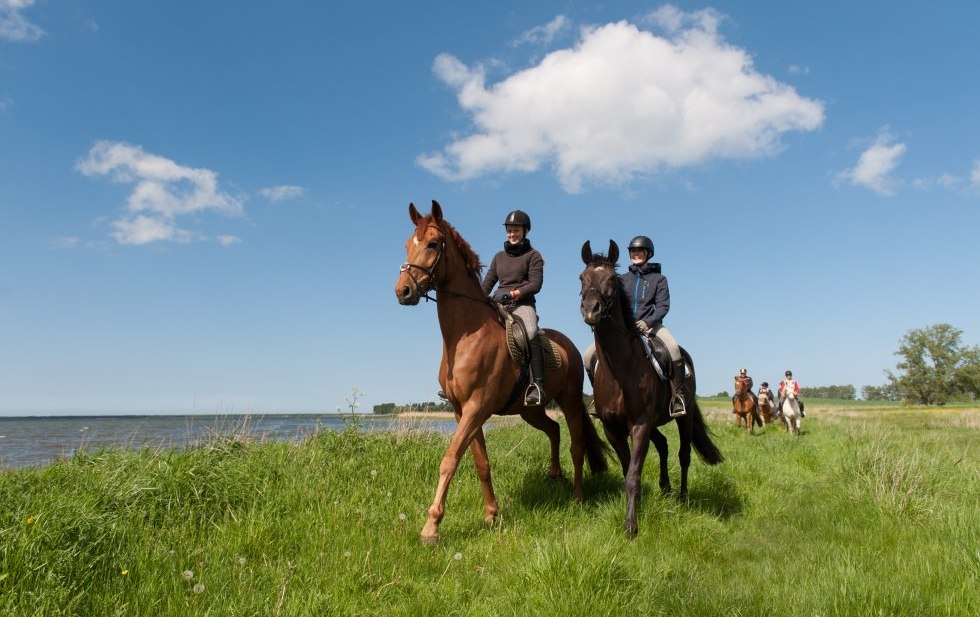 Rijden door het platteland tussen de Oostzee en het Mecklenburgse merengebied // © MV-T/Frank Hafemann Rijden door het platteland tussen de Oostzee en het Mecklenburgse merengebied // © MV-T/Frank Hafemann