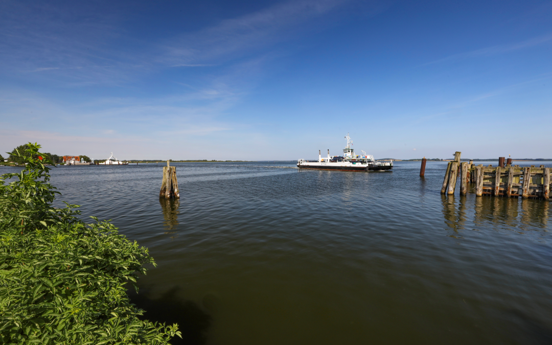 harbor-wittower-faehre_3, © TMV/Gohlke