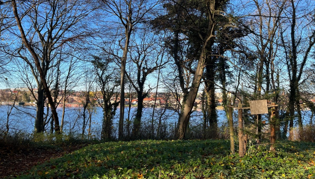 Uitzicht op het meer van Malchow, &copy; Tourist-Information Malchow