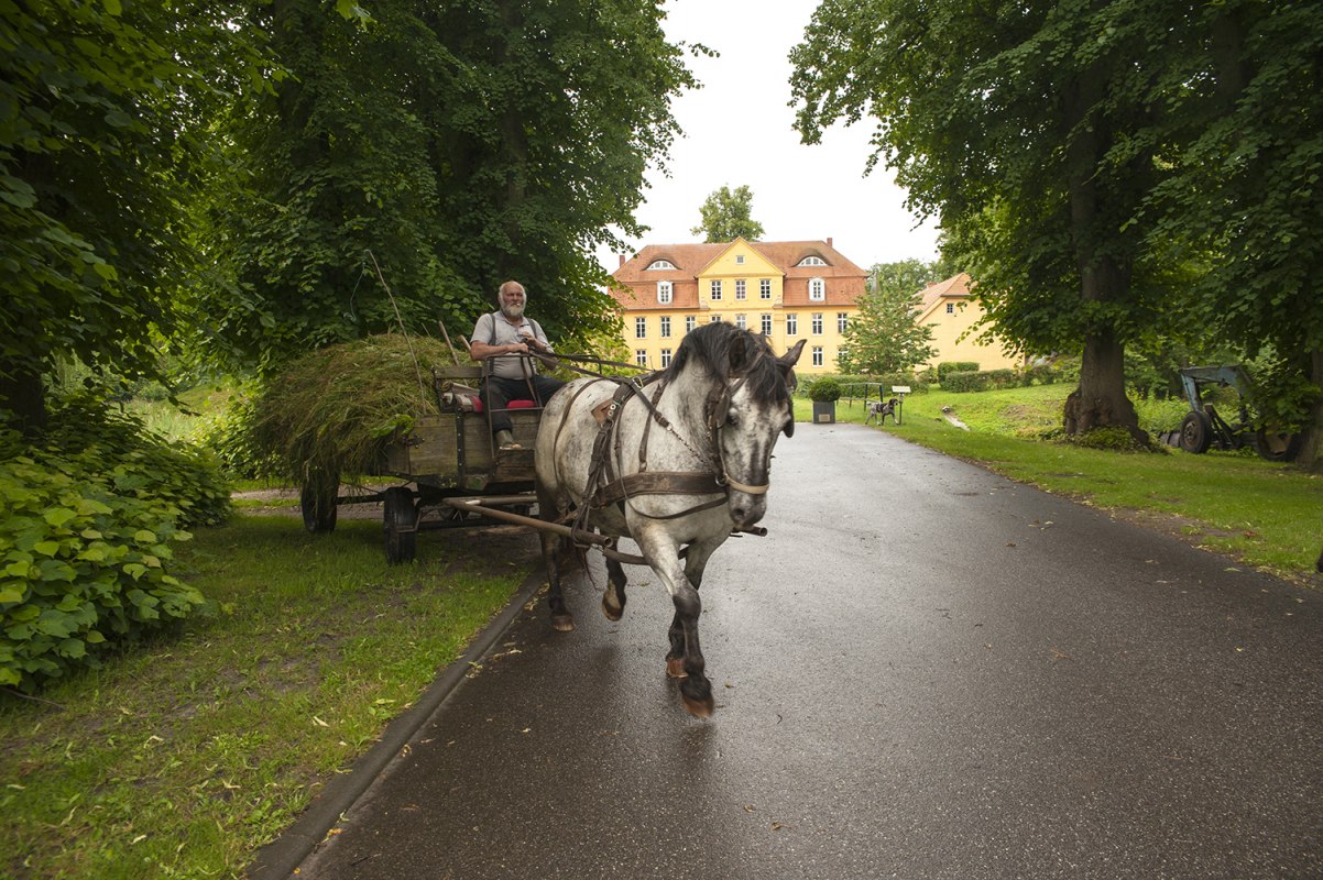 Paardenkoets voor kasteel Lühburg // © Christin Drühl Paardenkoets voor kasteel Lühburg // © Christin Drühl