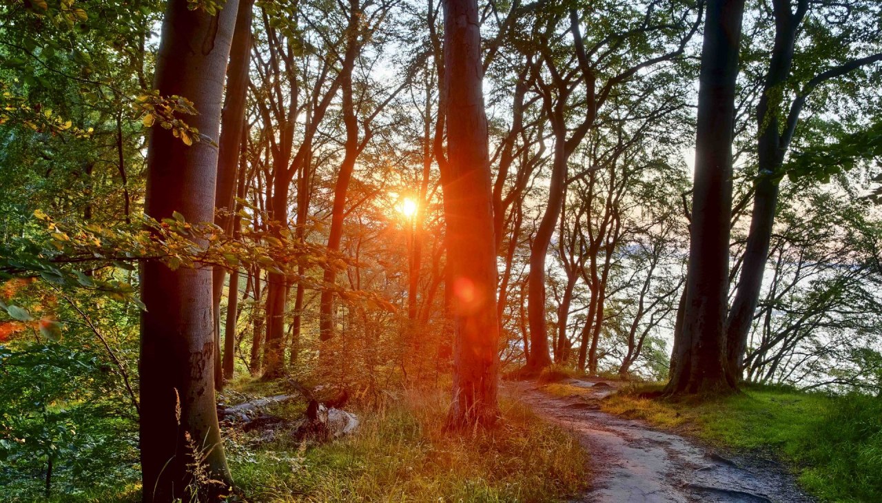 Literaire wandeling (c) Kurverwaltung Goehren Martin Stoever_07-2019_P5I1472_71_70_69_68_HDR-projecten-2, © Kurverwaltung Goehren / Martin Stoever Literaire wandeling (c) Kurverwaltung Goehren Martin Stoever_07-2019_P5I1472_71_70_69_68_HDR-projecten-2, © Kurverwaltung Goehren / Martin Stoever