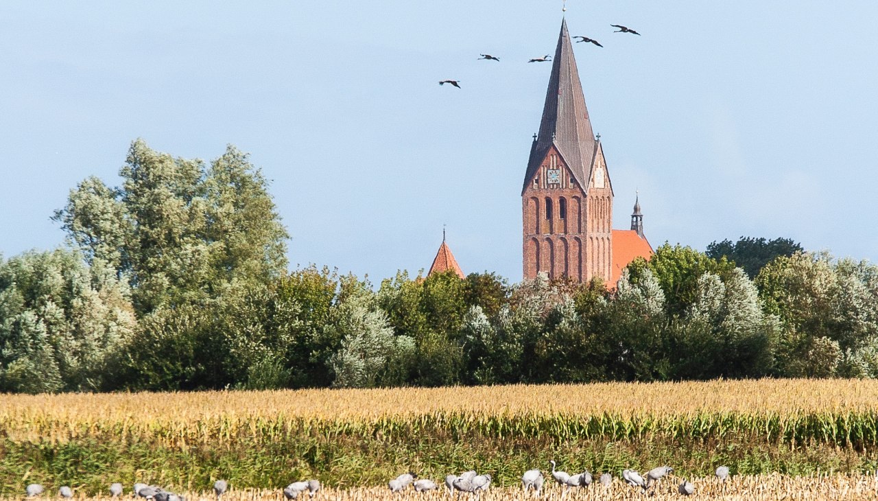 Fields between Barthe and the air base, © Arndt Gläser Fields between Barthe and the air base, © Arndt Gläser