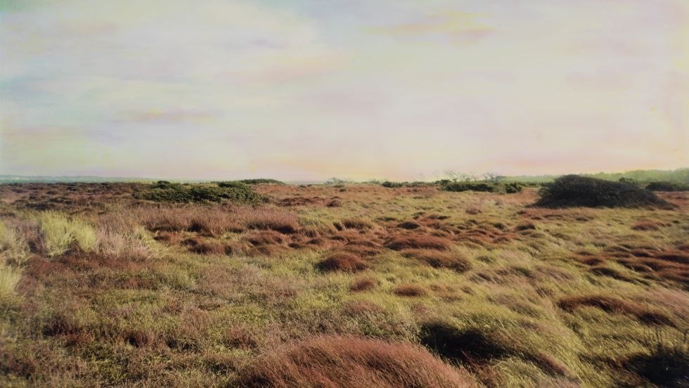 Landscape of loving nature, © Tim Steingens Landscape of loving nature, © Tim Steingens
