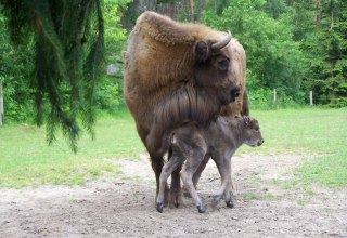 © Weichbrodt © Weichbrodt