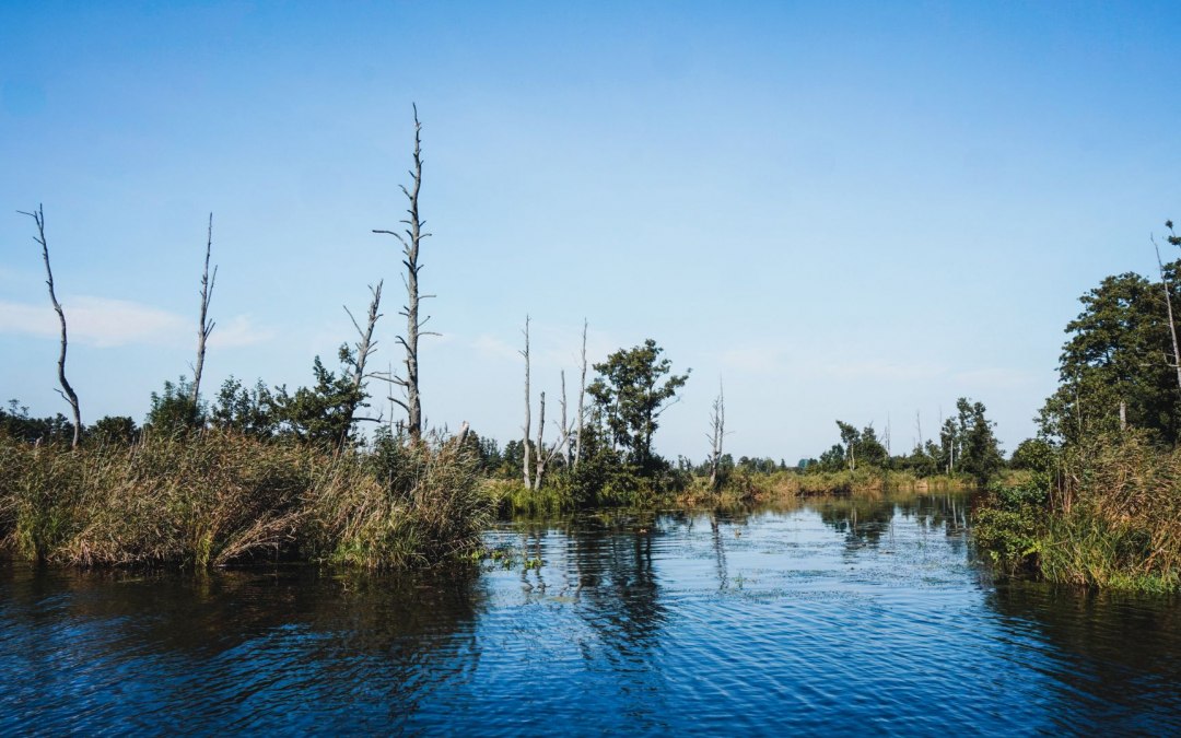 Canoeing on the Peene river allows you to enjoy nature to the fullest // © MV-T/WorldonaBudget Canoeing on the Peene river allows you to enjoy nature to the fullest // © MV-T/WorldonaBudget