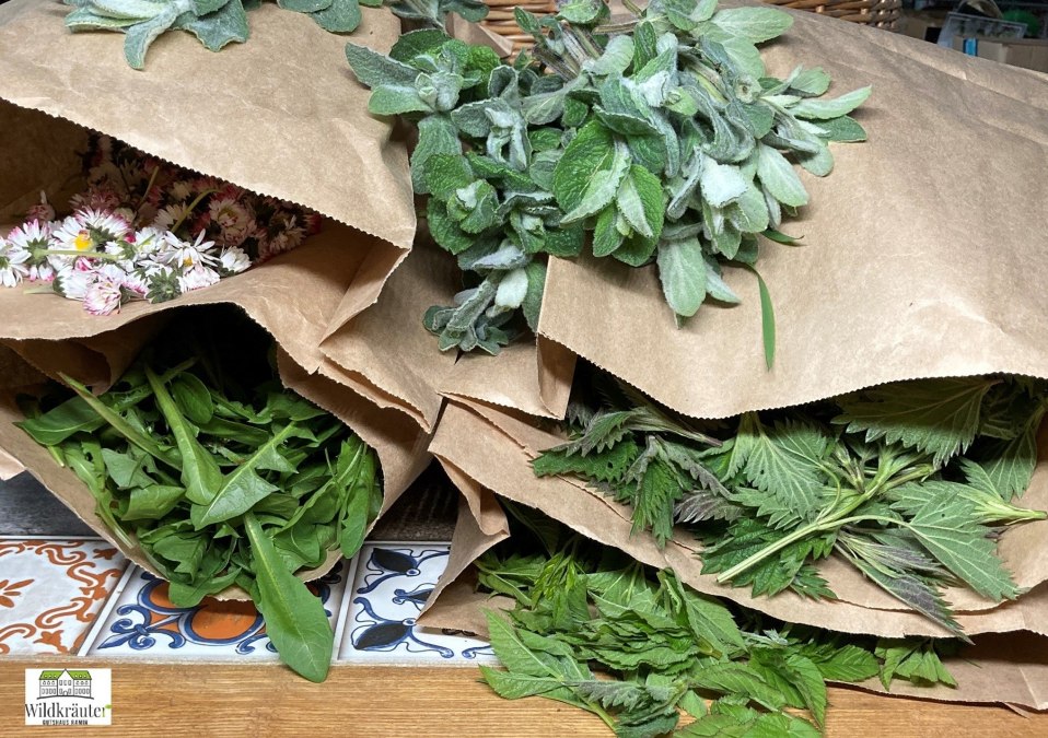 Wild herbs, © Jolanta Grenke Wild herbs, © Jolanta Grenke