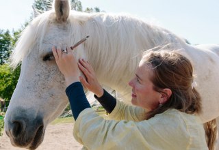 Sabine Schnabel - SOUND FOR HORSES: Acupuncture points and GOOD VIBRATIONS... // &copy; Anika B&uuml;ssemeier