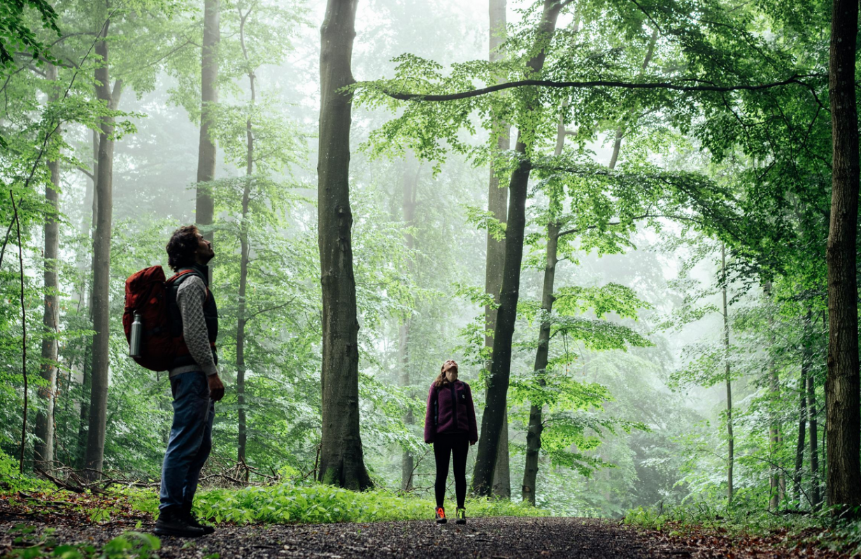 felix g&auml;nsicke tmv, &copy; Felix G&auml;nsicke/TMV