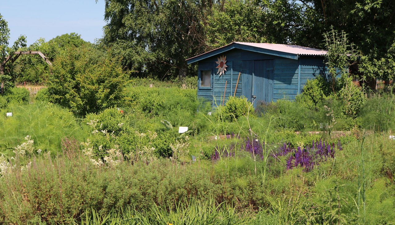 Luplow kruidenkwekerij, © Silke Voss Luplow kruidenkwekerij, © Silke Voss