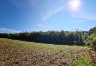 &copy; Landesforst MV