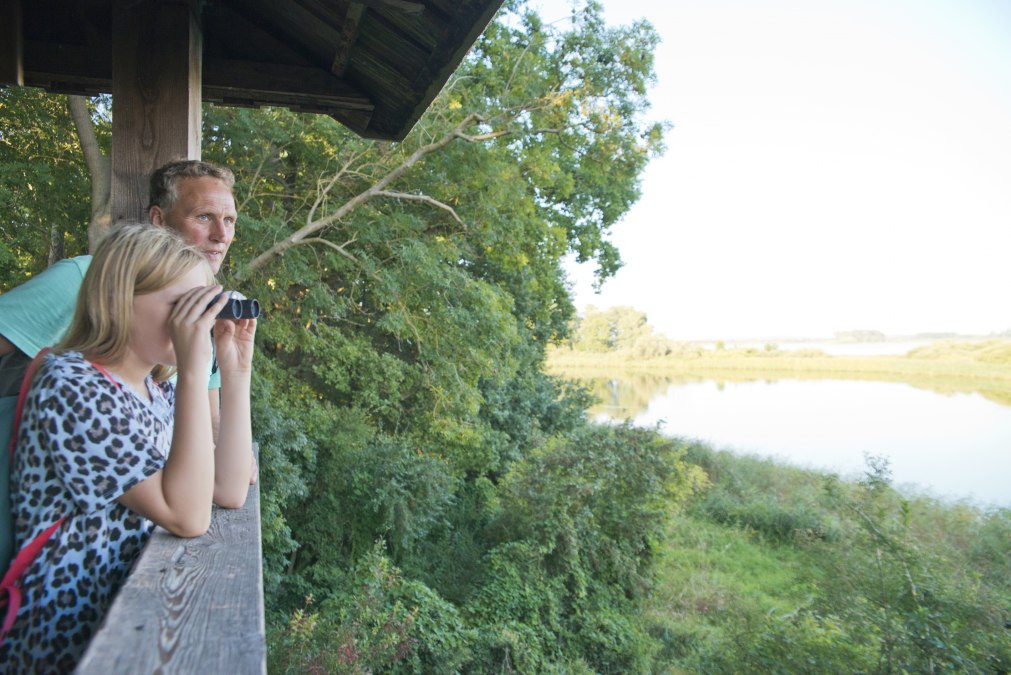 Nature observation, © C. Drühl/Tourist-Info