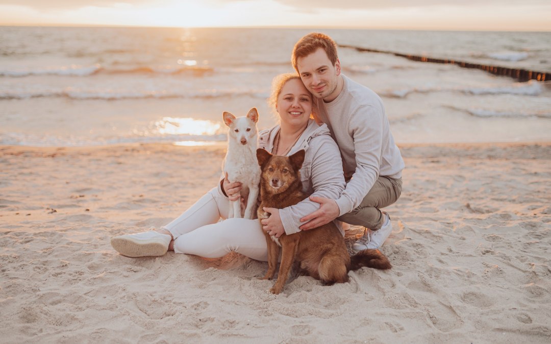 Couple photo shoot with dog at sunset on the Baltic Sea beach, © Deine Hundefotografin