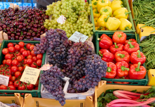 © MV-T/Borchert © MV-T/Borchert