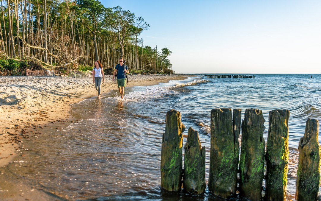 Kustbos in Graal-Müritz, © TMV/Tiemann