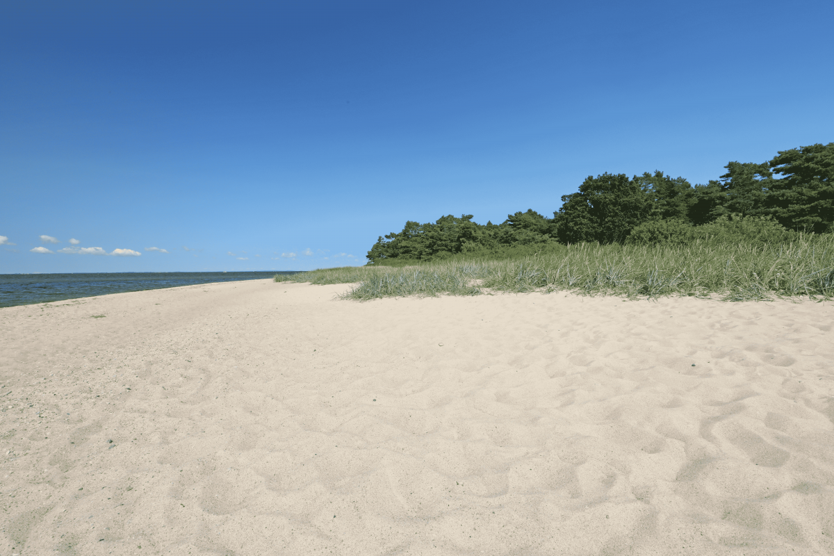 Toegang tot het strand // © MV-T/Gohlke Toegang tot het strand // © MV-T/Gohlke