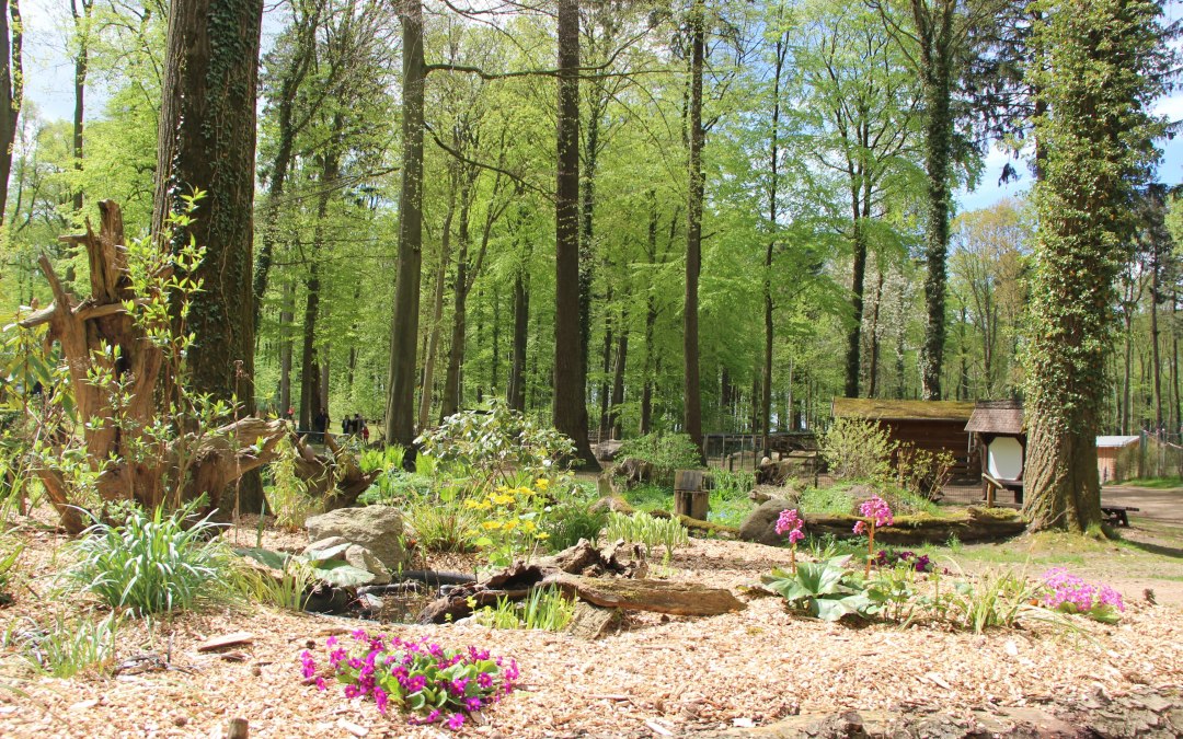 In de dierentuin van Wolgast kunnen bezoekers kennismaken met veel dieren in een idyllische natuurlijke omgeving., © Tierpark Wolgast