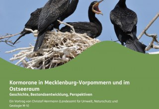 Plakat Kormoranvortrag // &copy; Naturpark Sternberger Seenland