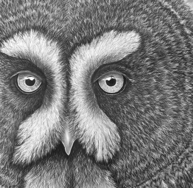 Pencil drawing by Ralf Wilhelm Schmidt // &copy; Ralf Wilhelm Schmidt/M&uuml;ritzeum