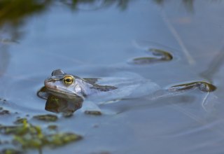 &copy; Stadtmarketing Ribnitz-Damgarten