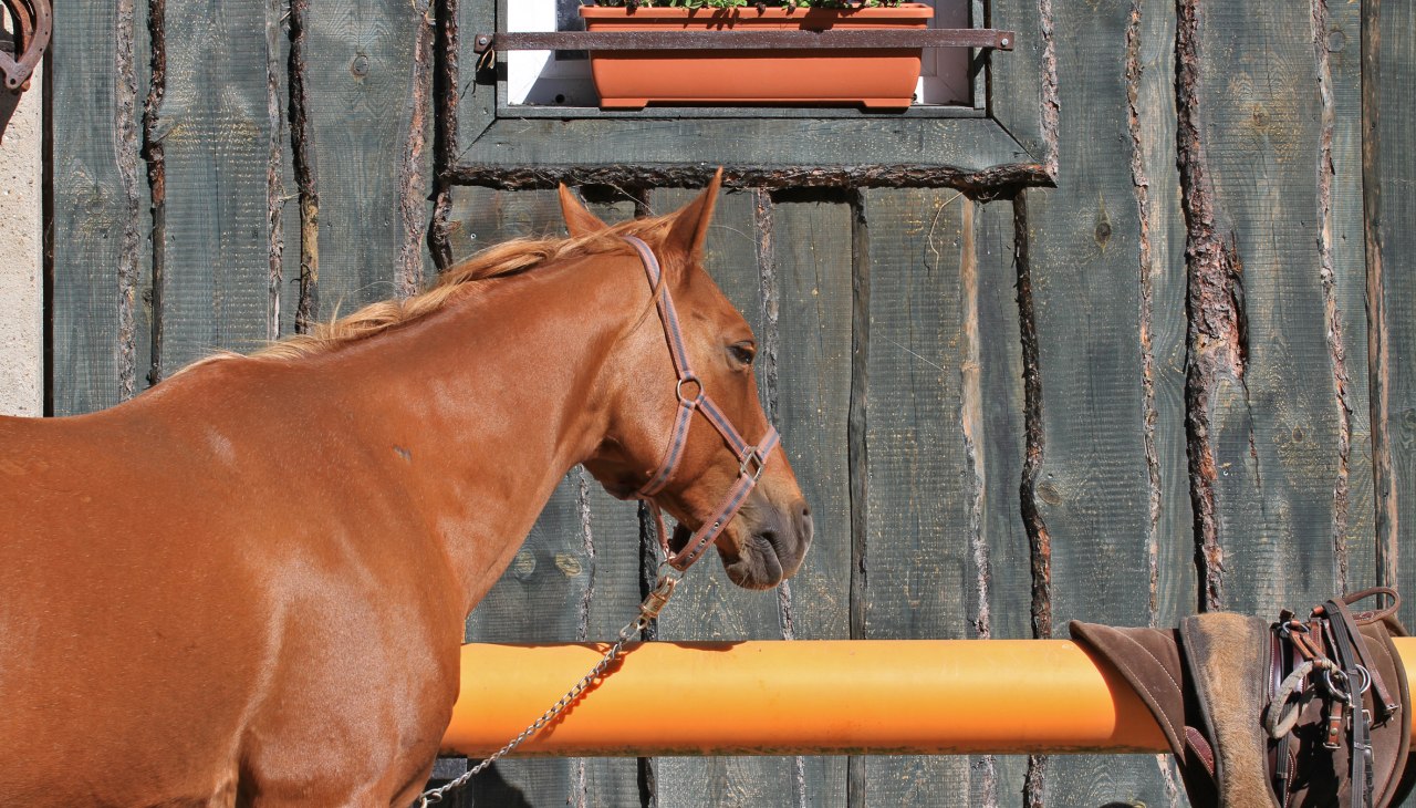 Framika Ranch, © Dirk Sandner Framika Ranch, © Dirk Sandner