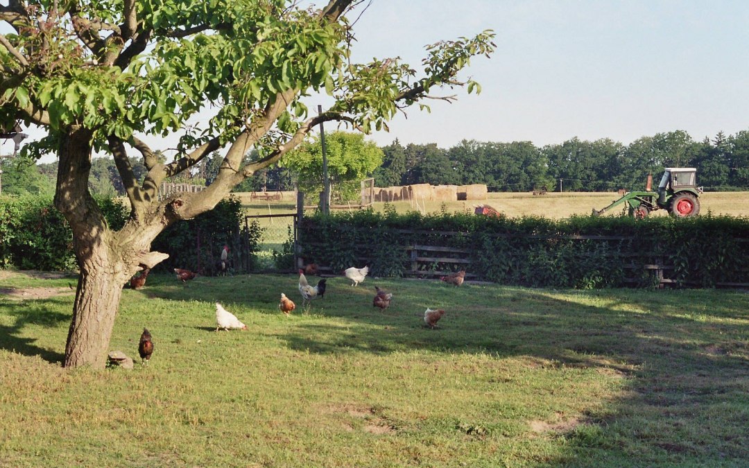 Farma - jak za czasów babci, © Bernd Friedrich
