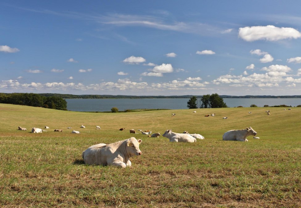 Loddiner Höft_1, © TMV/Gohlke