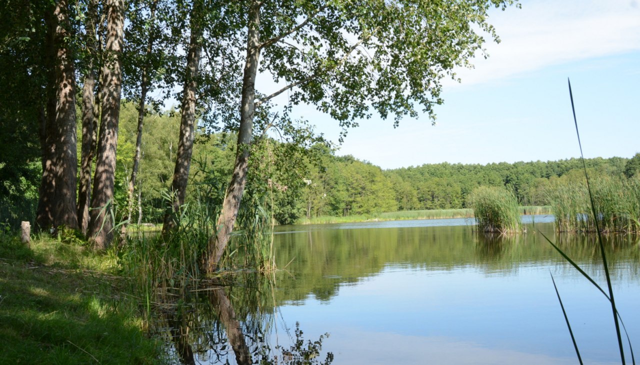 Stawy karpiowe w pobliżu Voigtsdorf, © Tourismusverband Mecklenburg-Schwerin