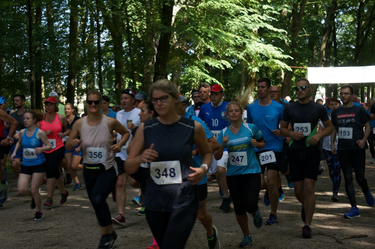 &copy; SG 03 Ludwigslust-Grabow