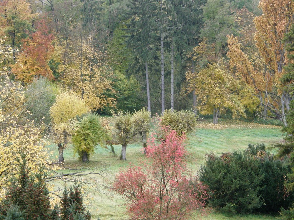 Wietzower Park // &copy; Kr&ouml;ger